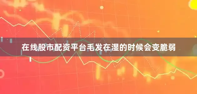 在线股市配资平台毛发在湿的时候会变脆弱