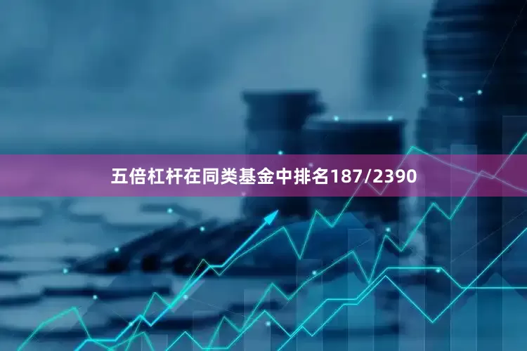 五倍杠杆在同类基金中排名187/2390